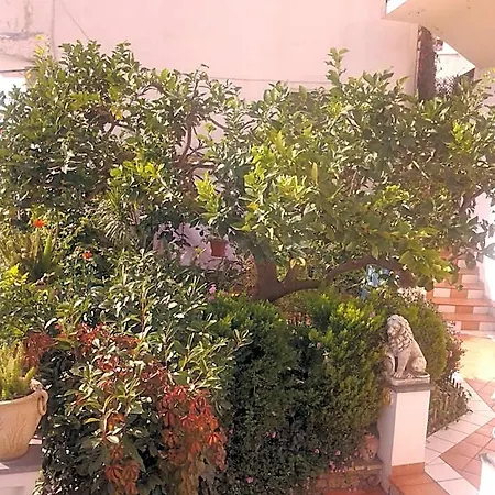 B&B Angelide-3
